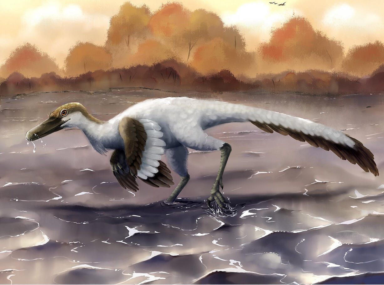 “Buitrerapror” illustration